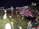 %_tempFileNamepresepio%202006_0722%